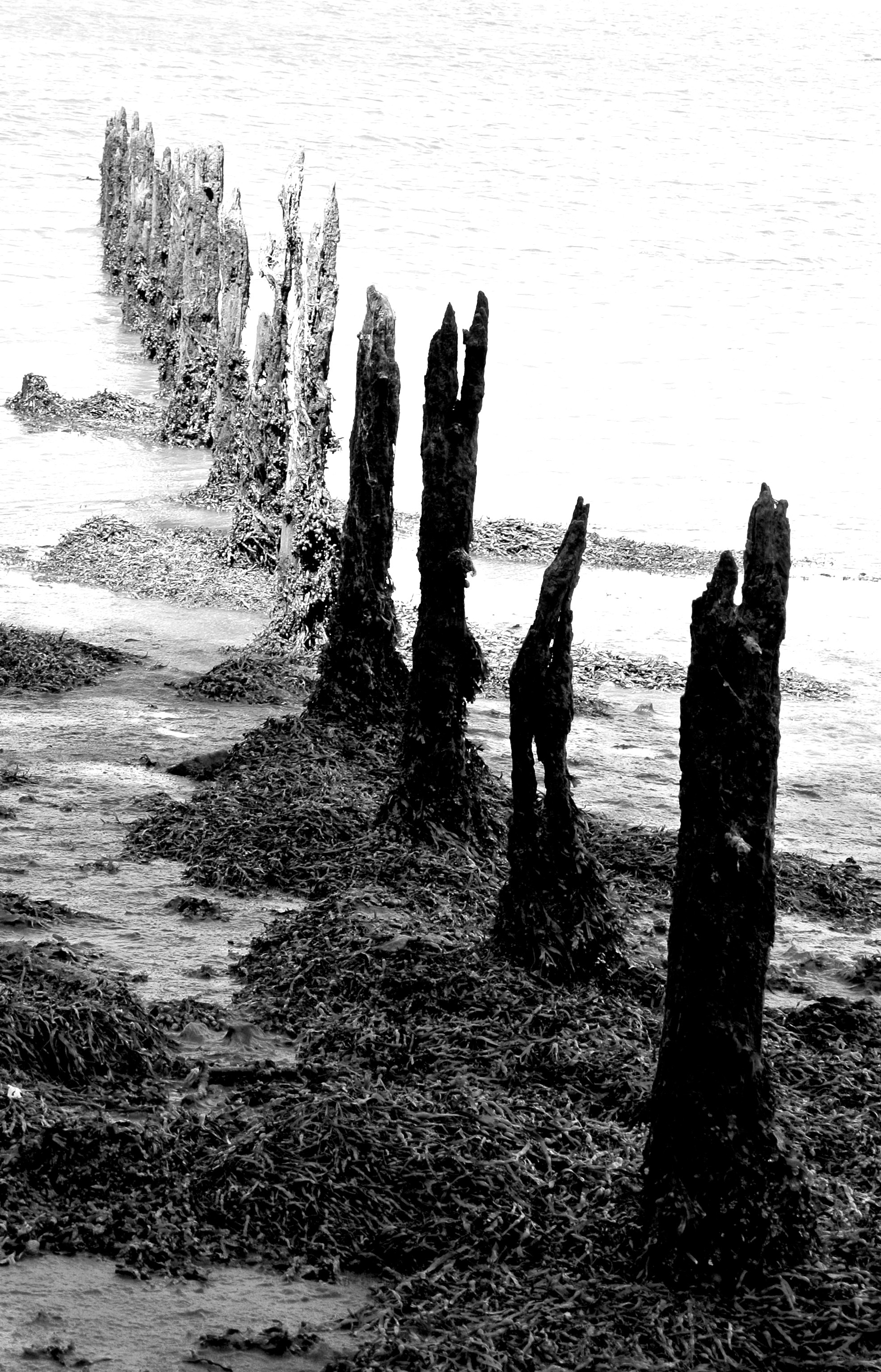 最終インディアン　バックル John Hornbeck ジョンホーンベック 最終インディアン バックル John Hornbeck ジョンホーンベック - メルカリ