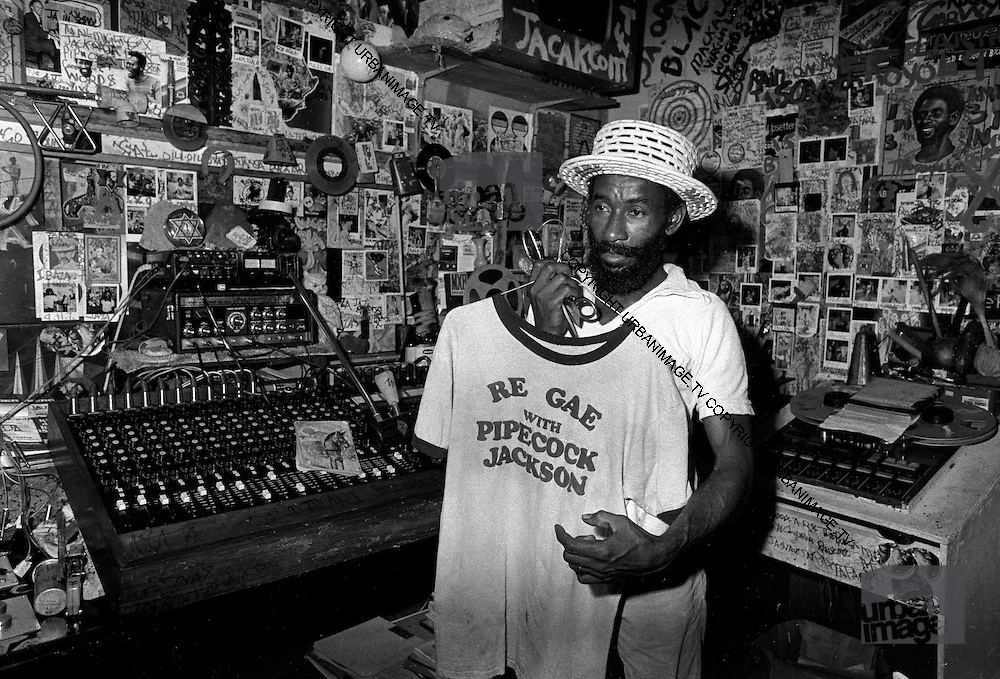 Bass Culture: When Reggae Was King by Lloyd Bradley – BlackCountryRock